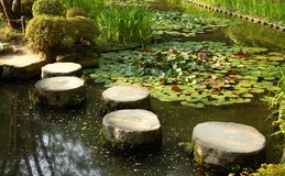 010300A005089863-c1-photo-oYToxOntzOjE6InciO2k6MjU5O30=-les-pas-japonais