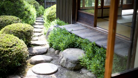 01CC010405377030-c1-photo-pas-jpg