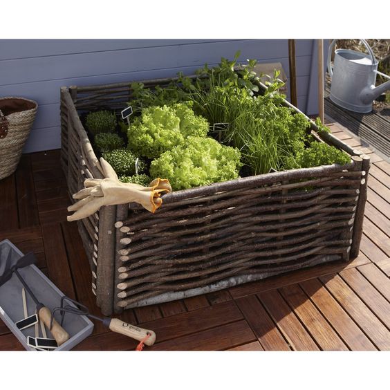 09eb933856a2a13bdf4d8b37f549687e