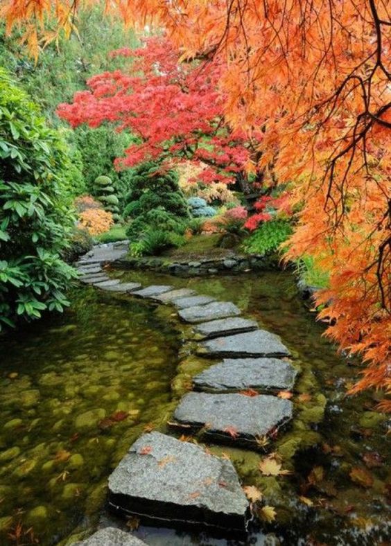 0e30dd4371bda954bc19cdc89e456536