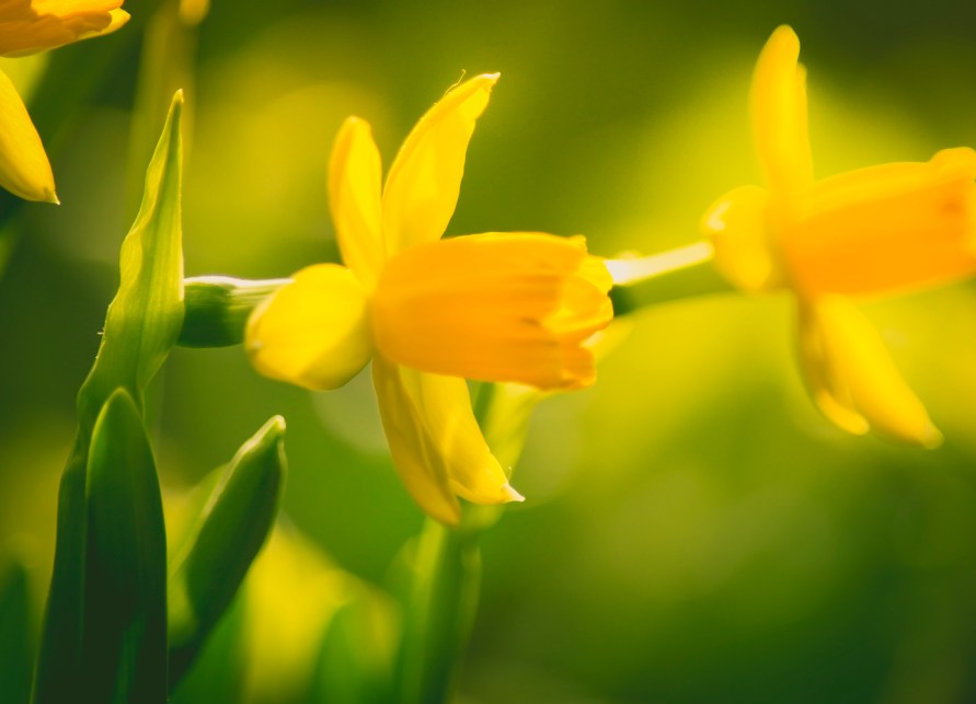 1391597152_32591 (1)