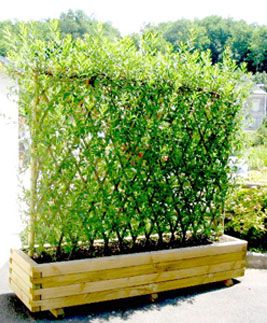 150230e93dc54fea257621687ce55e5e