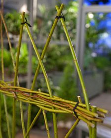 2e7a8ea0d063bb8c928b4434fe3f5bae