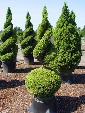 375b13cf0ce37405d13969b8a190d198