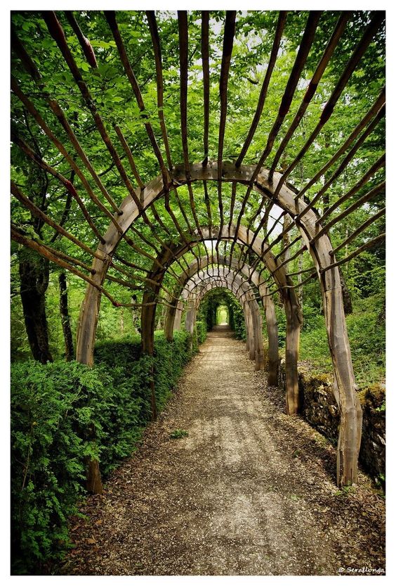 3c37c11450ba16e86de39567269121aa