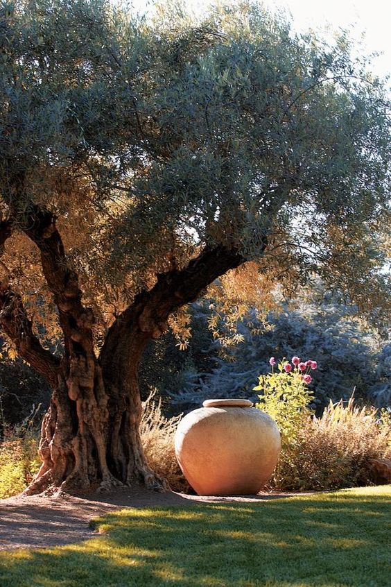 3c4865f2cd2aaf34e00ee796eca7a1d7