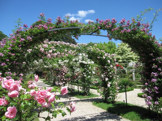 3d7662b271408c695688dfae87d85d23