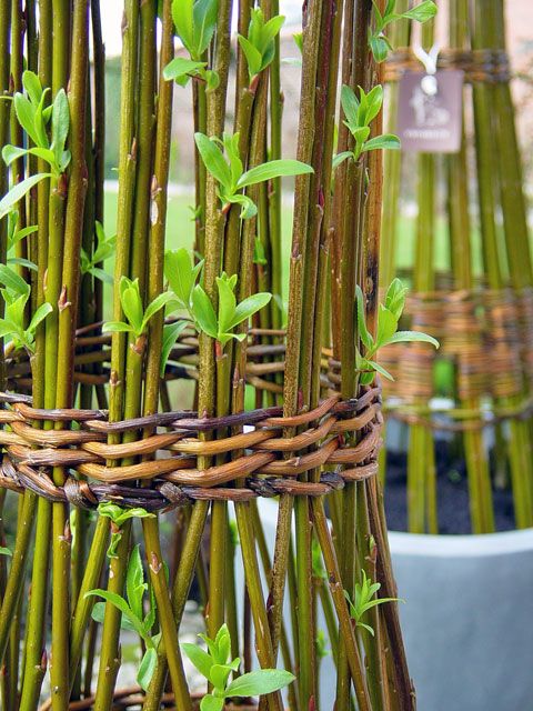 4e6922e47cefcca43019edeb3e228915 (1)