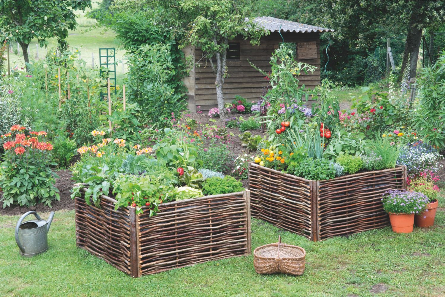 57203-carre-potager-en-noisetier