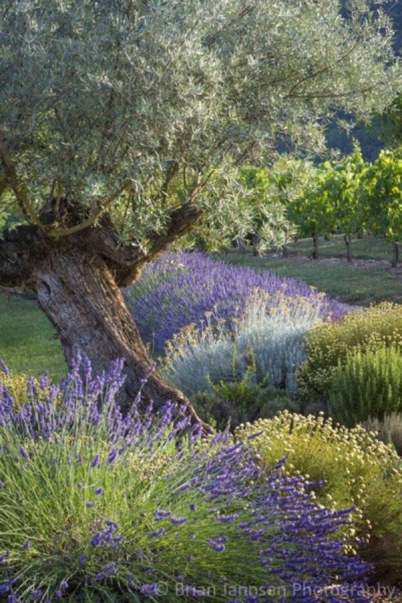 6f41d8d9fa60902620ada6c065d68d58