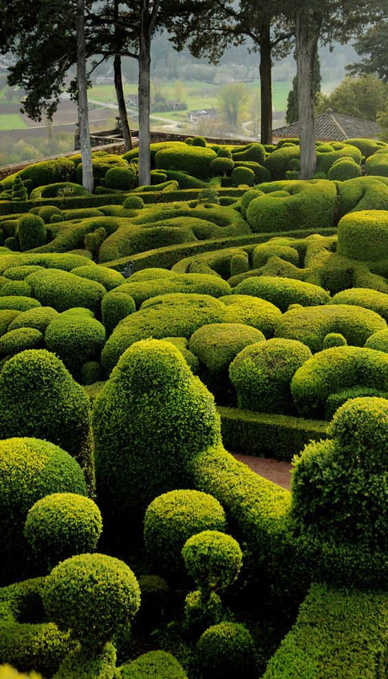 7cd86241994cda91c9f56c5adf723118