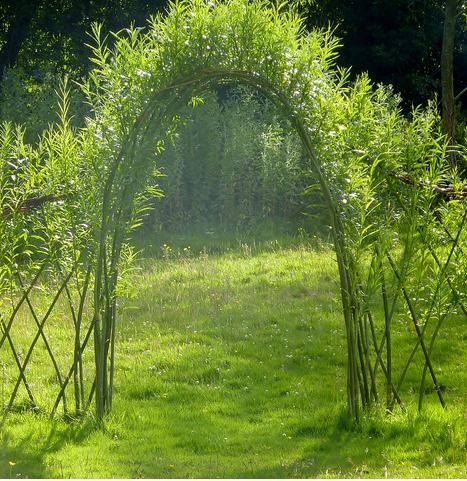 98b63a22a3c2947f7176aab49d024659