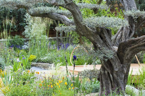 9c51ec122132c8d66d93961a71008fa9