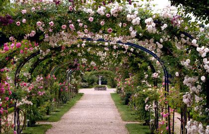 9f1facb804215eac5bdfddd74174a41b