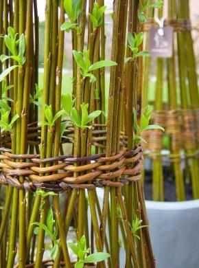 af1f25e38f9bc5a38dc383404a1252da