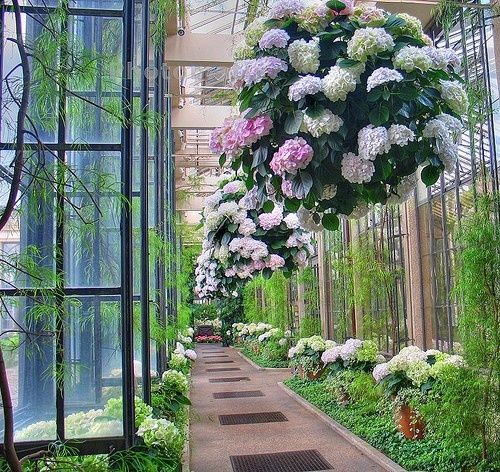 b50c895ae912796546f992808cecdaf9