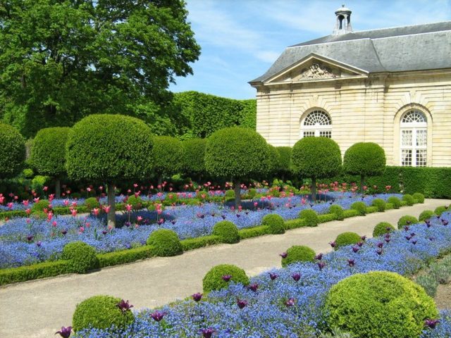 belles-fleurs-jardin-classique