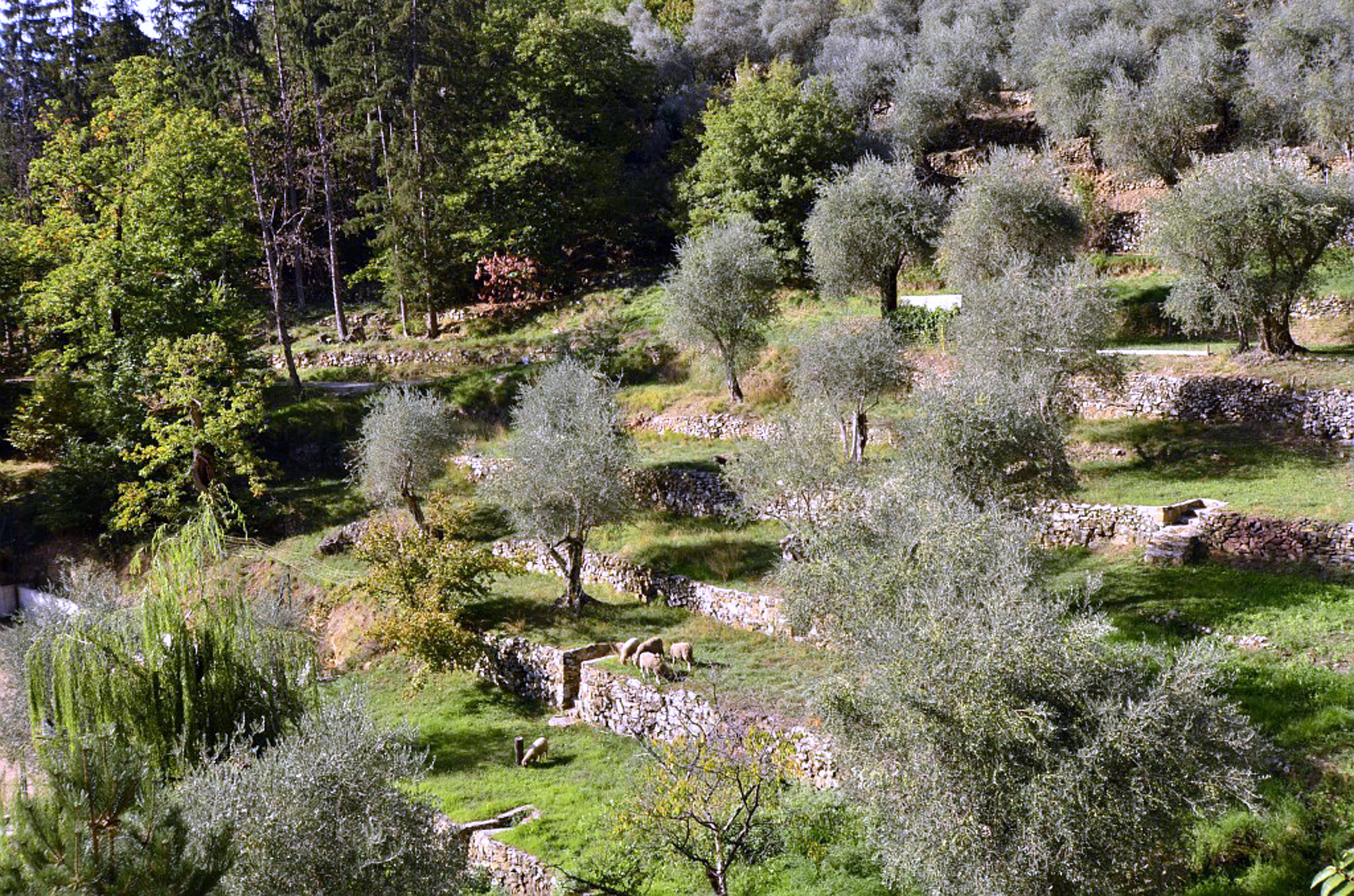 cg06-patrimoine-communes_duranus_restanque