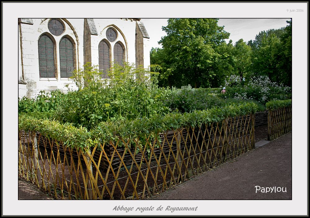 dyn006_original_1000_705_jpeg_2614525_3dc20c5cfa30dc5fc1caadaa52ac6152