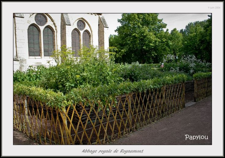 dyn006_original_1000_705_jpeg_2614525_3dc20c5cfa30dc5fc1caadaa52ac6152