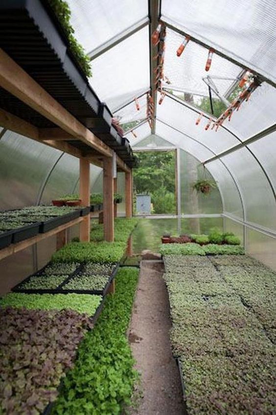 e3c9792cae2adf075b239ef5948352d2