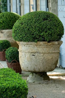 e7f1fbc9ab908a22e01baad90b673854