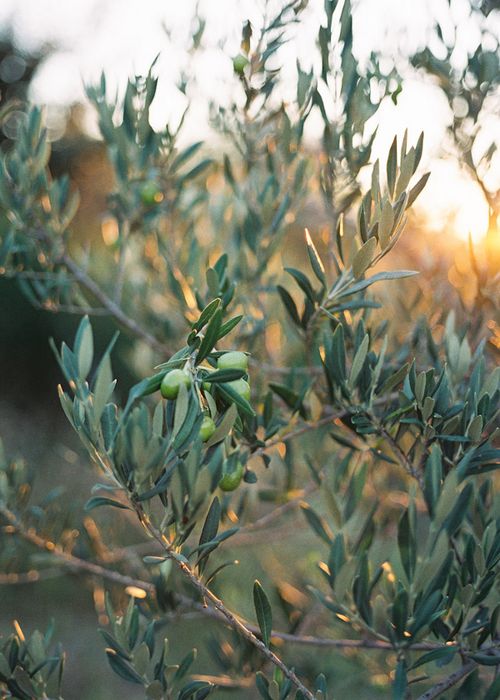 ea195c31c6a1cbeb4966485abedf454c