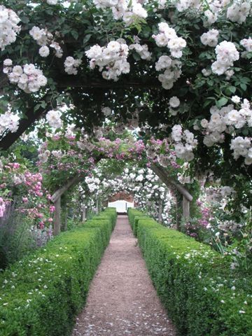 ea9901f6620435ebe2cfc7a827bce7b5