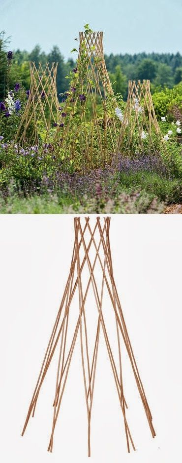 fd707fe9bb720d862e672565485da88f