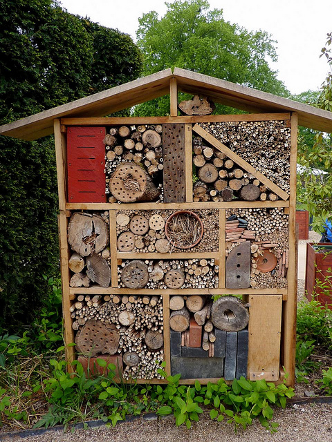 hotel-insectes-flickr-michel48