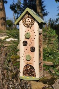 hotel-tout_confort_insecte