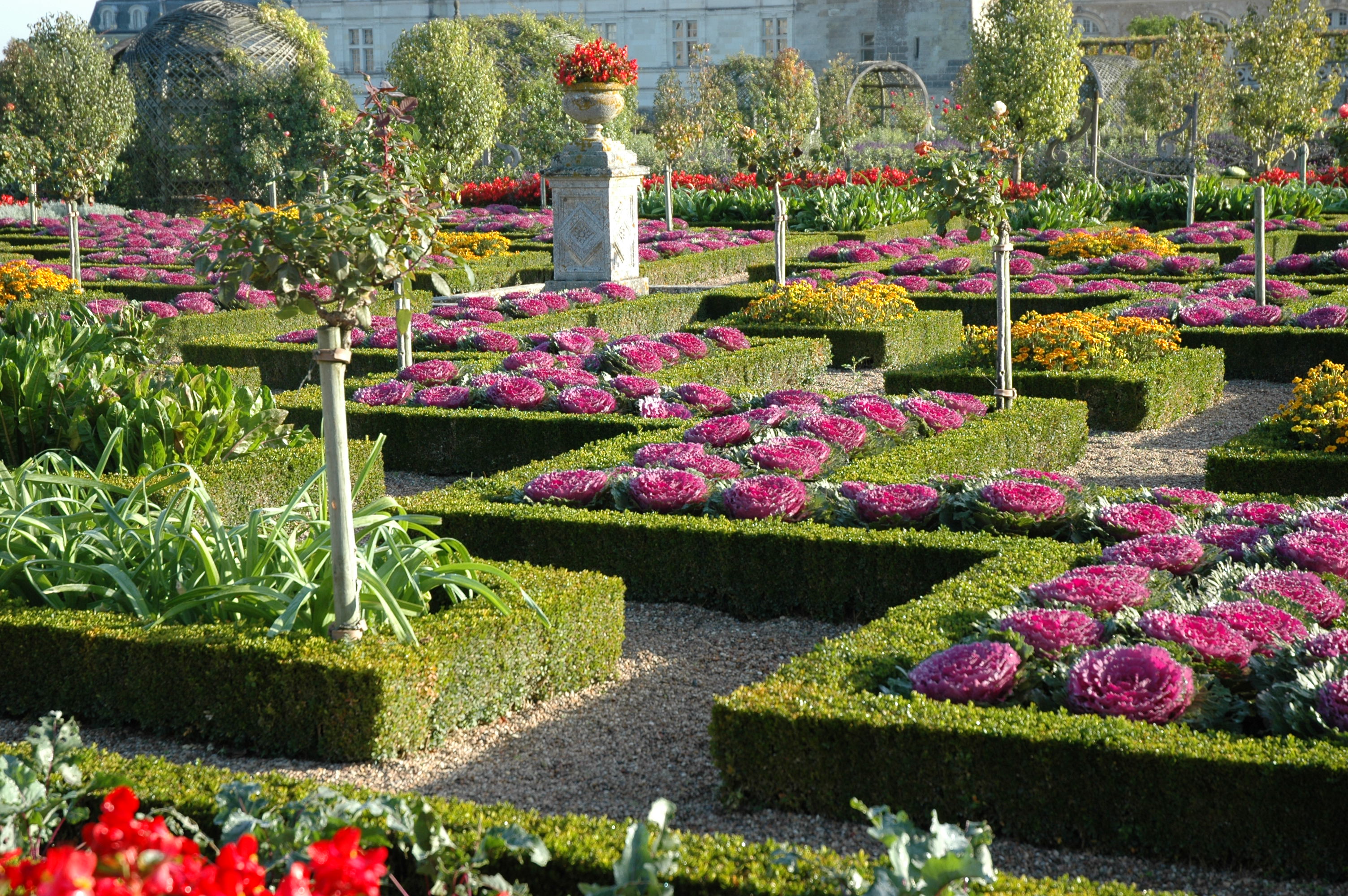Jardin-du-chateau-de-Villandry-37