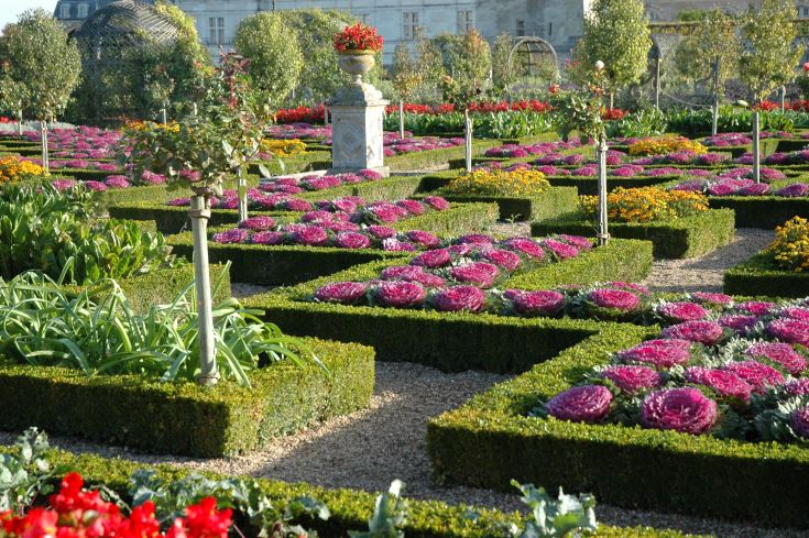 Jardin-du-chateau-de-Villandry-37