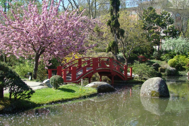 JARDIN-JAPONAIS-TOULOUSE07483