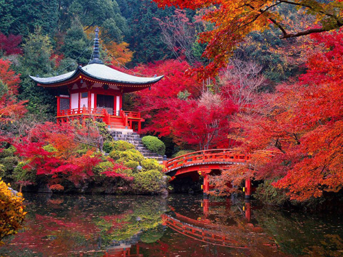 Jardin_Japon_Saiho-Ji-Kyoto-automne
