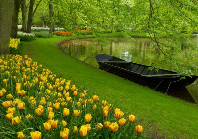 Keukenhof + champs de tulipes 2 (2)