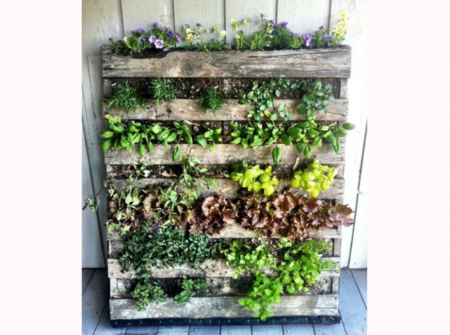 Marion-Siccardi-palette-mur-vegetal_w641h478