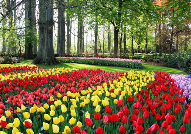 Parc Keukenhof Amsterdam (2)