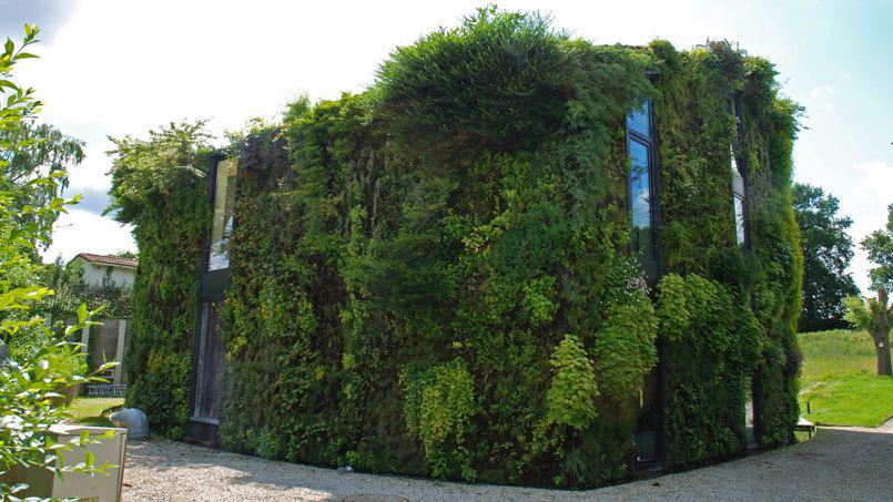 PHO7335e5f0-4ae6-11e4-ba36-dcdcda377545-805x453