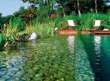 piscine-naturelle-biotech-2302_350x260