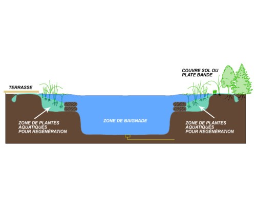 (PISCINE NATURELLE CARR311 (1))