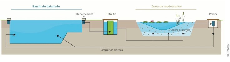 principe-filtration-piscine-biologique-bionova1