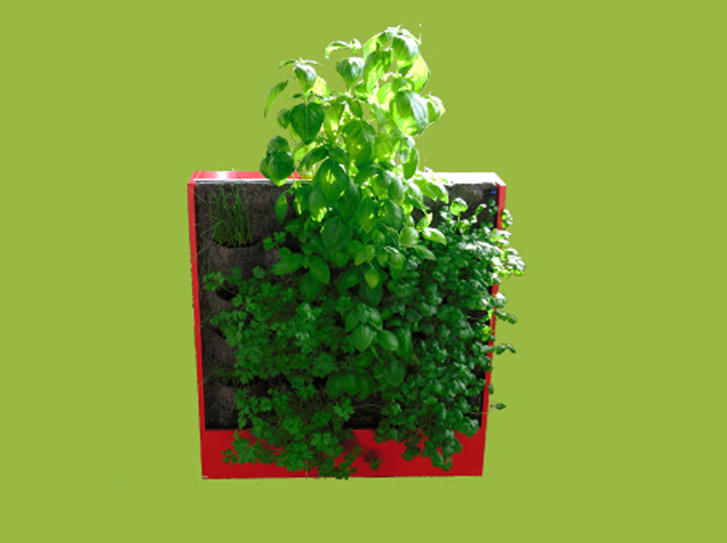 tableau_vegetal_aromatique