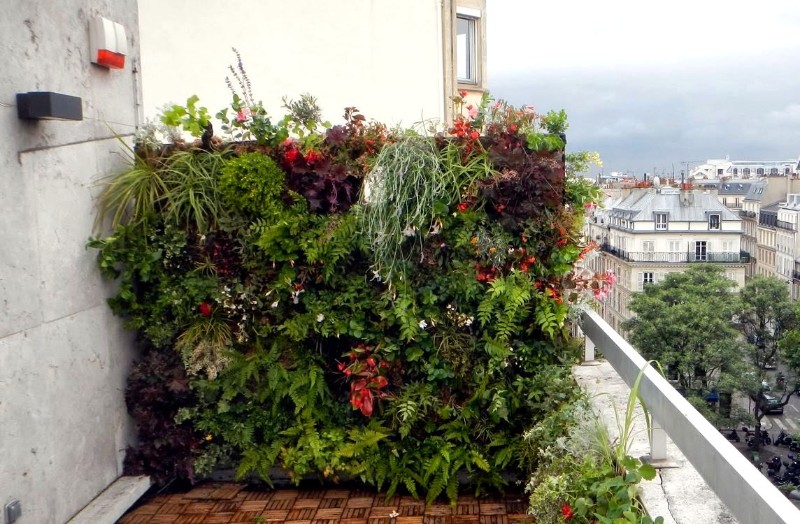 terrasseParisRUEFAUBOURGSAINTHONORJUIN2013