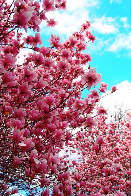 0c34aaee159781850740f2d1afbf4cdf