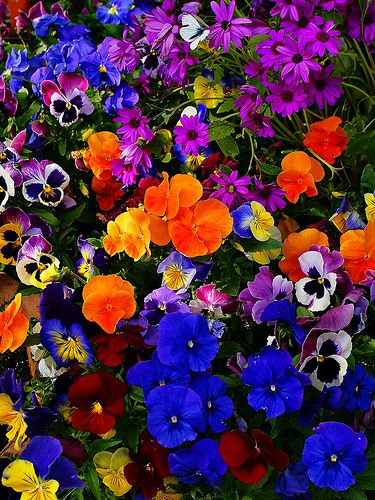 0c813bc00e759eb064d786188a68e99e