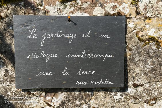 0cf73e4287985778078a88b8db0216d3 (1)