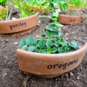 15ad861d357043f10cfaa534a026507e