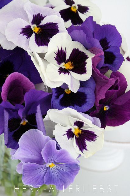 1bdb929dd9e7c6e9ff937e6739e15a11