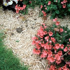 1e4b97e6c2acf43406c67b7891b43ed1